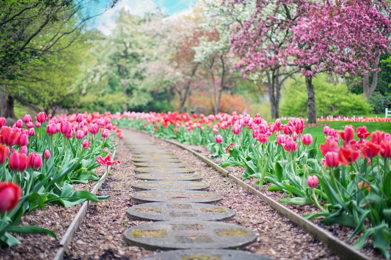 Enchanted Garden Trail